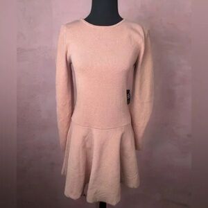 Express Long‎ Sleeve Knit Skater Dress